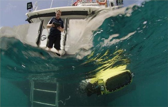 配備高精度振蕩器的珊瑚礁養護機器人在海里大顯身