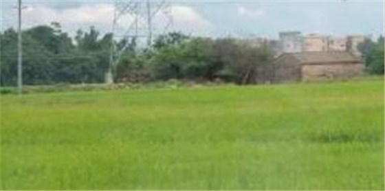 如何看待挑戰與機遇這一雙刃劍般的存在